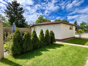 Villa in Doksy with barbecue